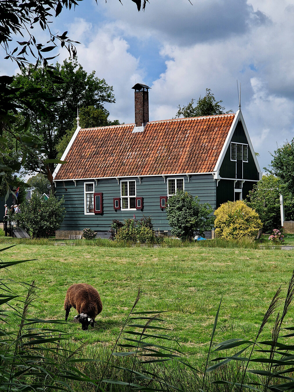 Life in the countryside #2