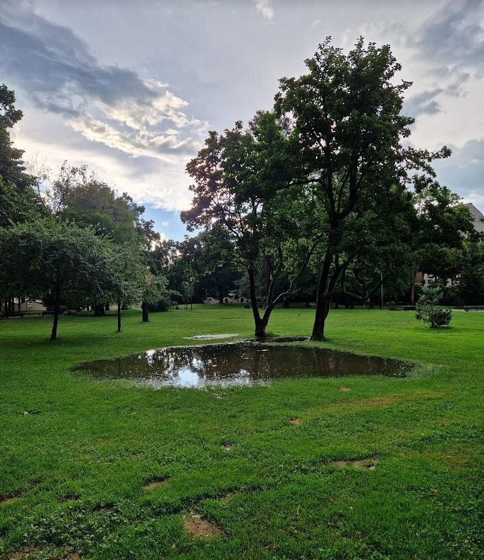After the rain