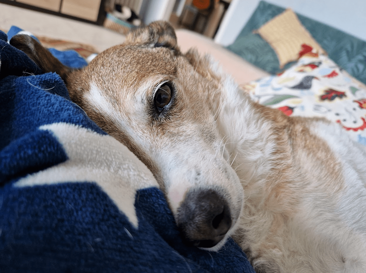One-eye-contact