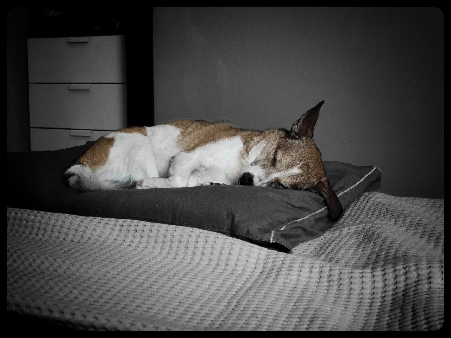 Rest