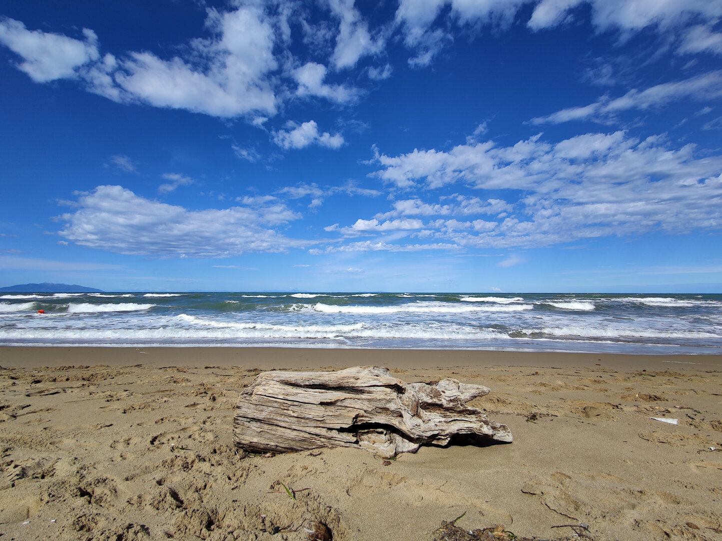 Summer on a solitary beach