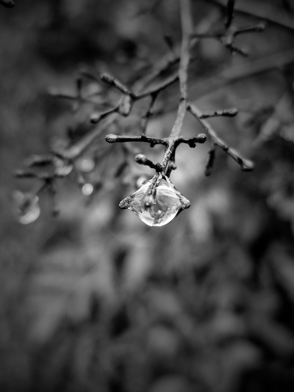 blackandwhite raindrops