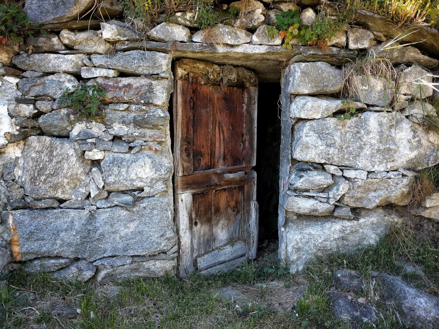 Non aprite quella porta.