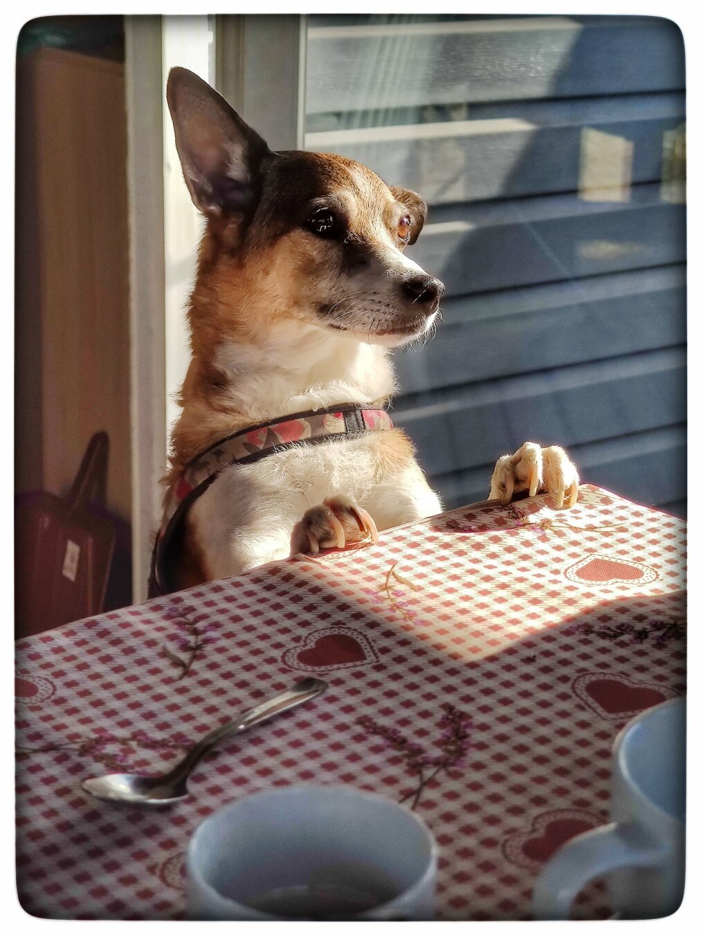 Can I have a snack?