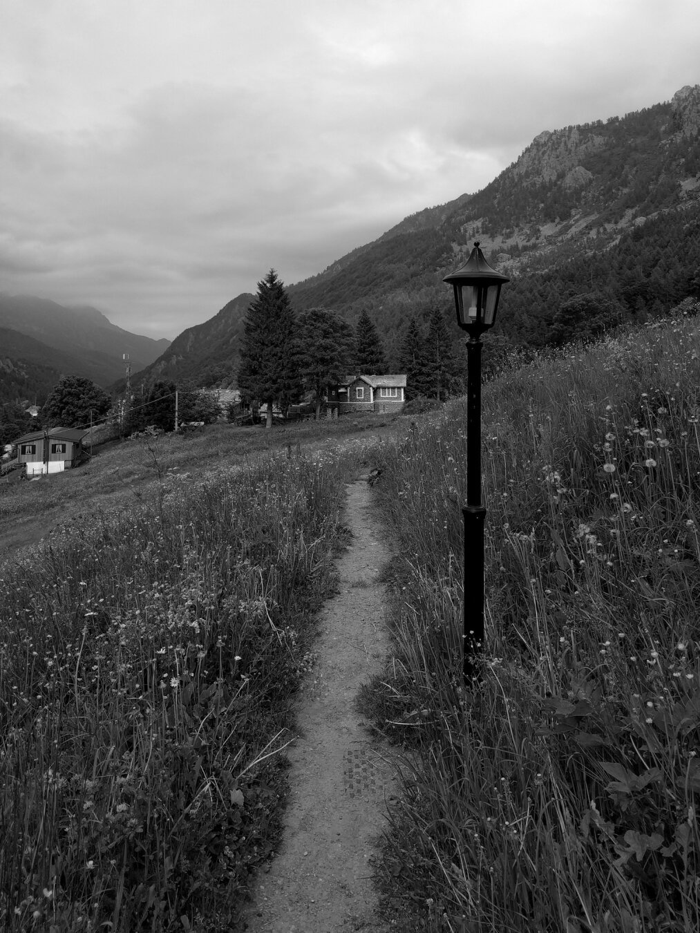 A walk