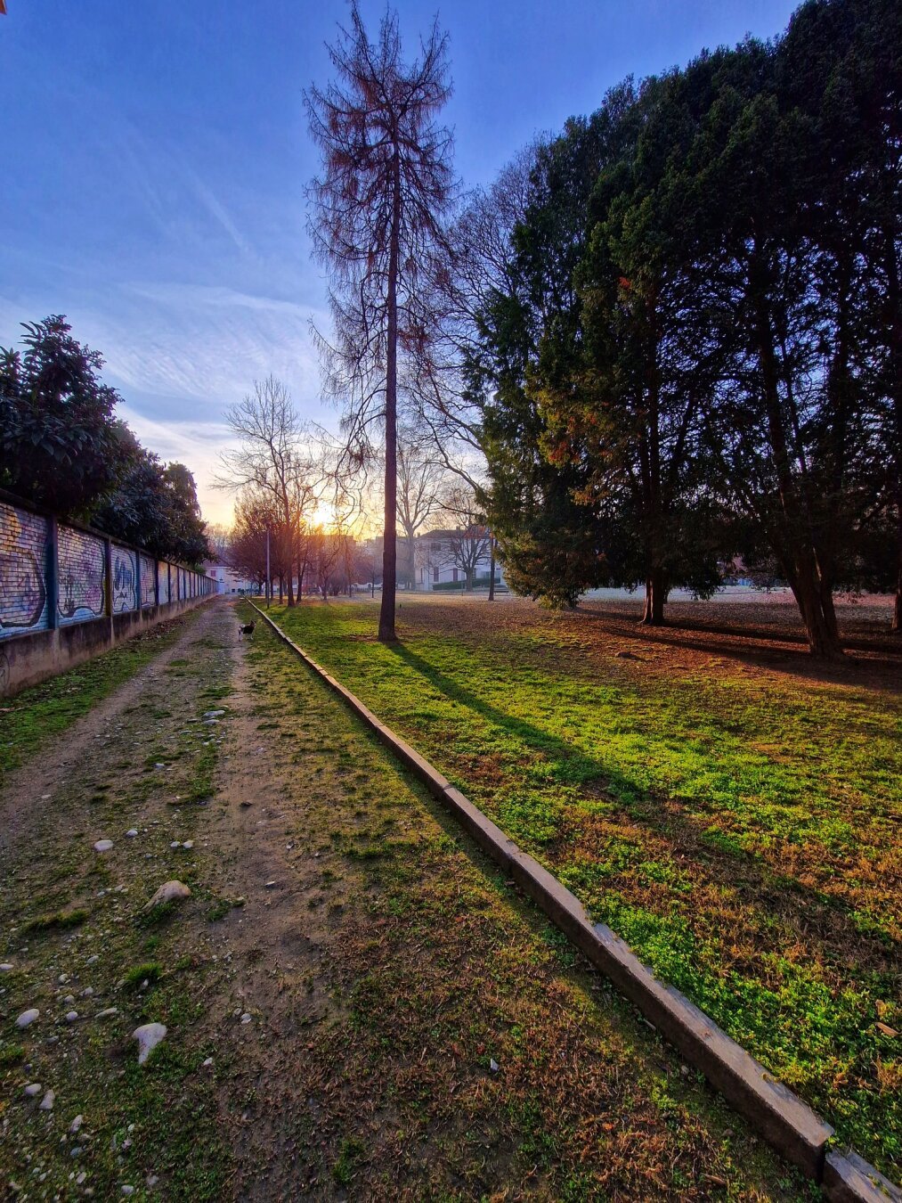 Morning walk