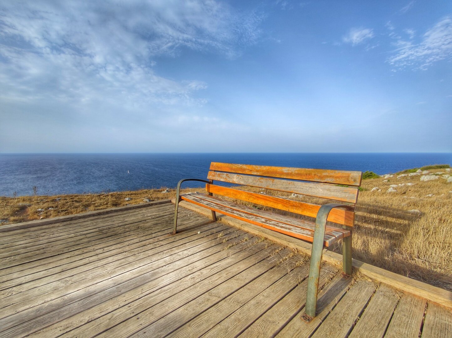 The Bench