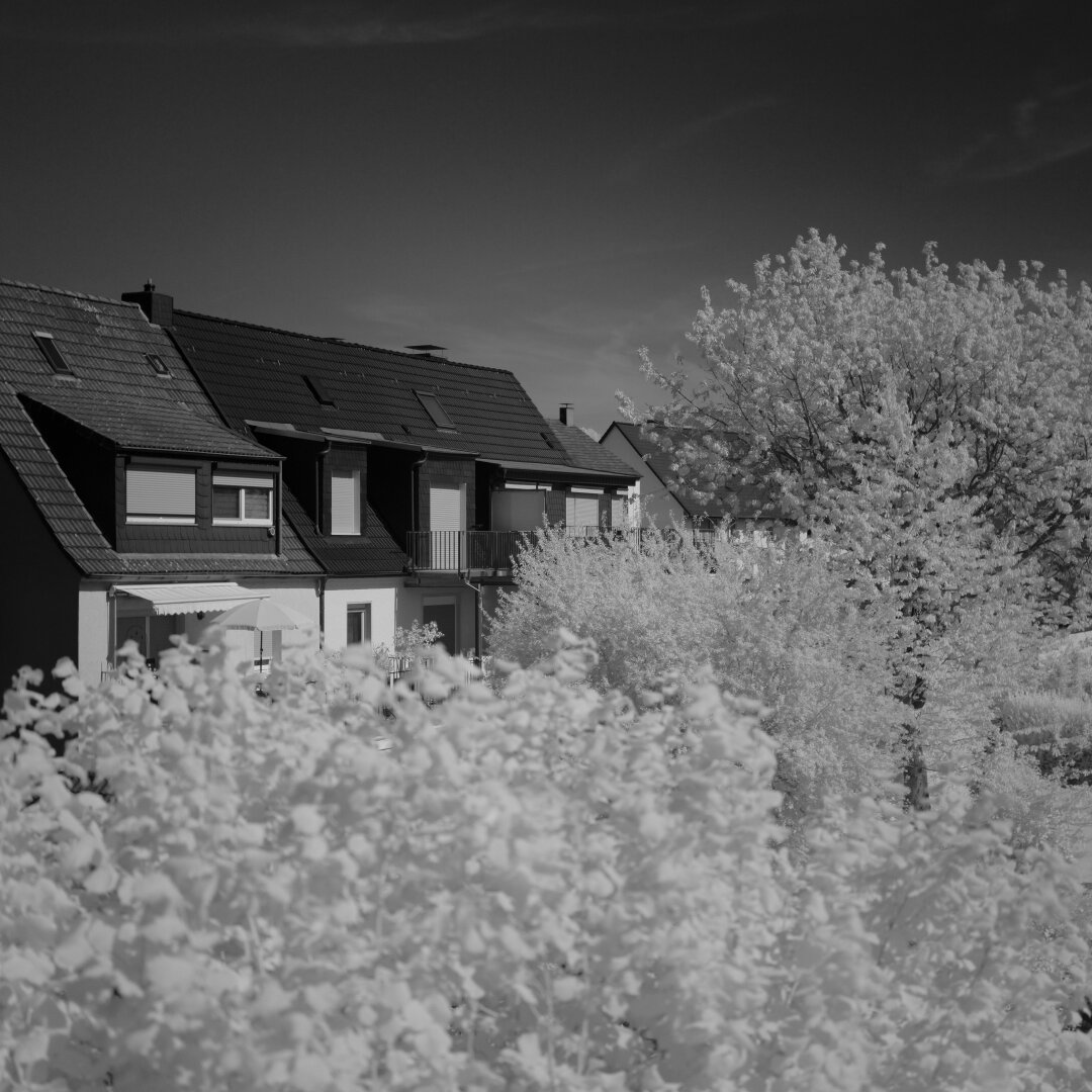 Black and white Infrared Photo, trees in foreground, House in background
