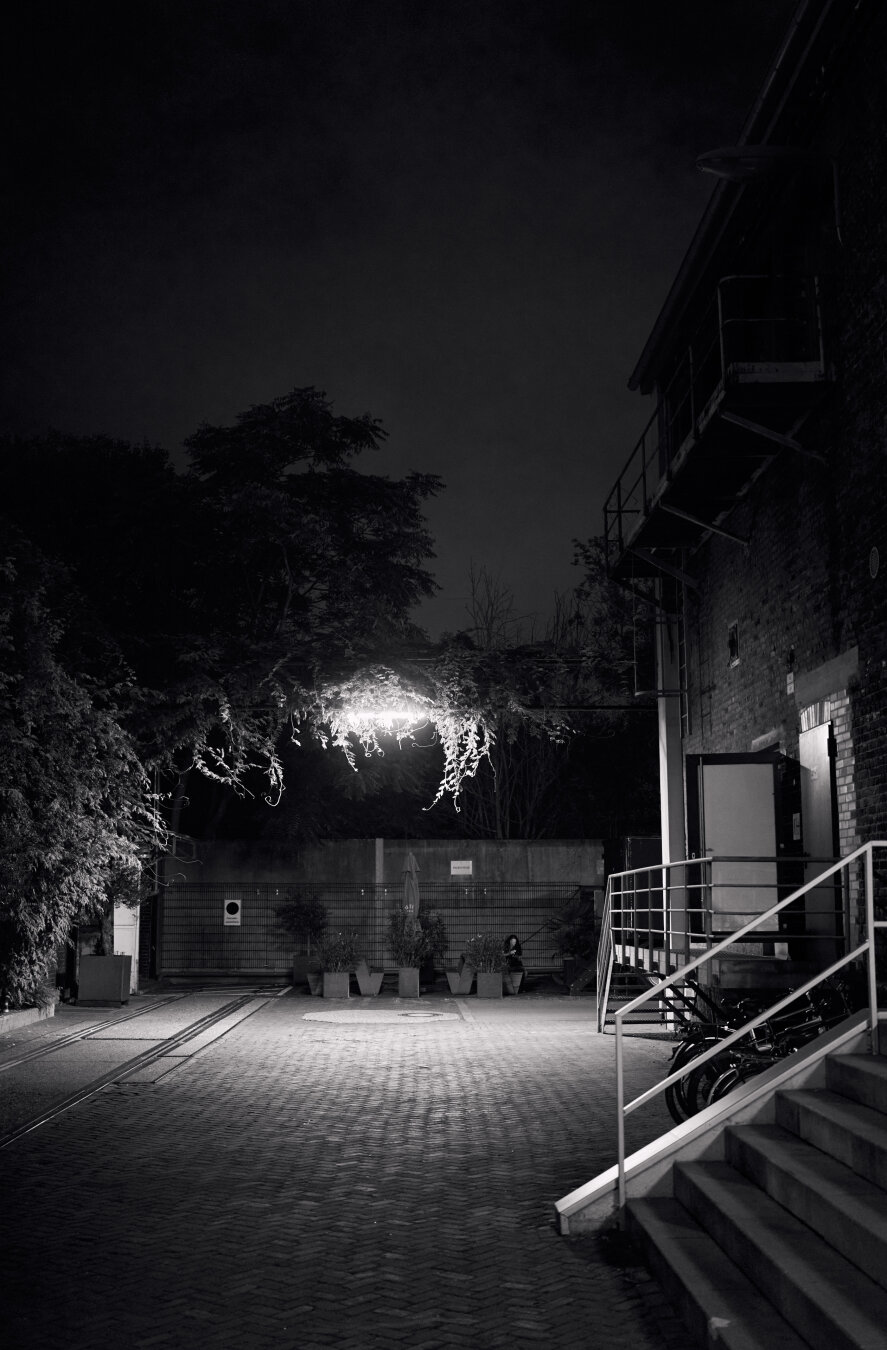 Nighttime urban courtyard in black and white with illuminated ivy-covered wall in the center. Right side features stairs and a building with metal railings, left side shows vegetation and trees in shadow.