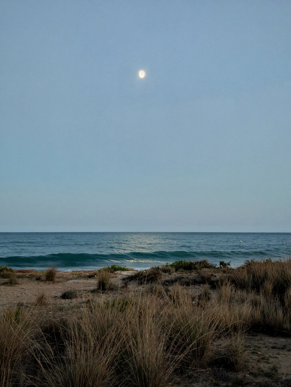 A picture of a quiet beach at down with an almost full moon