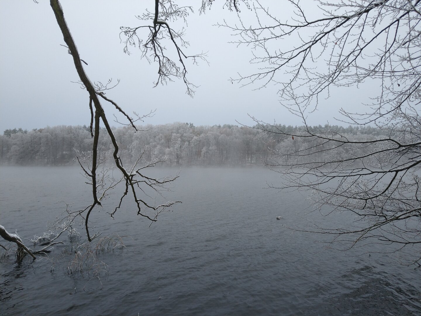 a lake with fog and snowy trees in the background