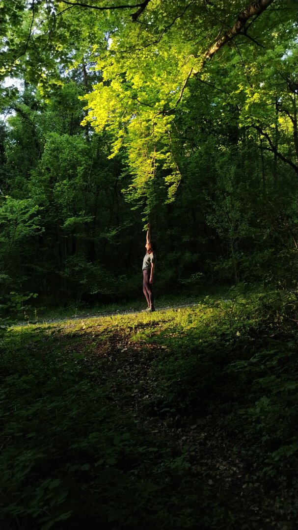 Une personne se tient debout, de profil, à quelques mètres de l'appareil photo. Elle lève la main, et touche une branche éclairée par une lumière de fin de journée.