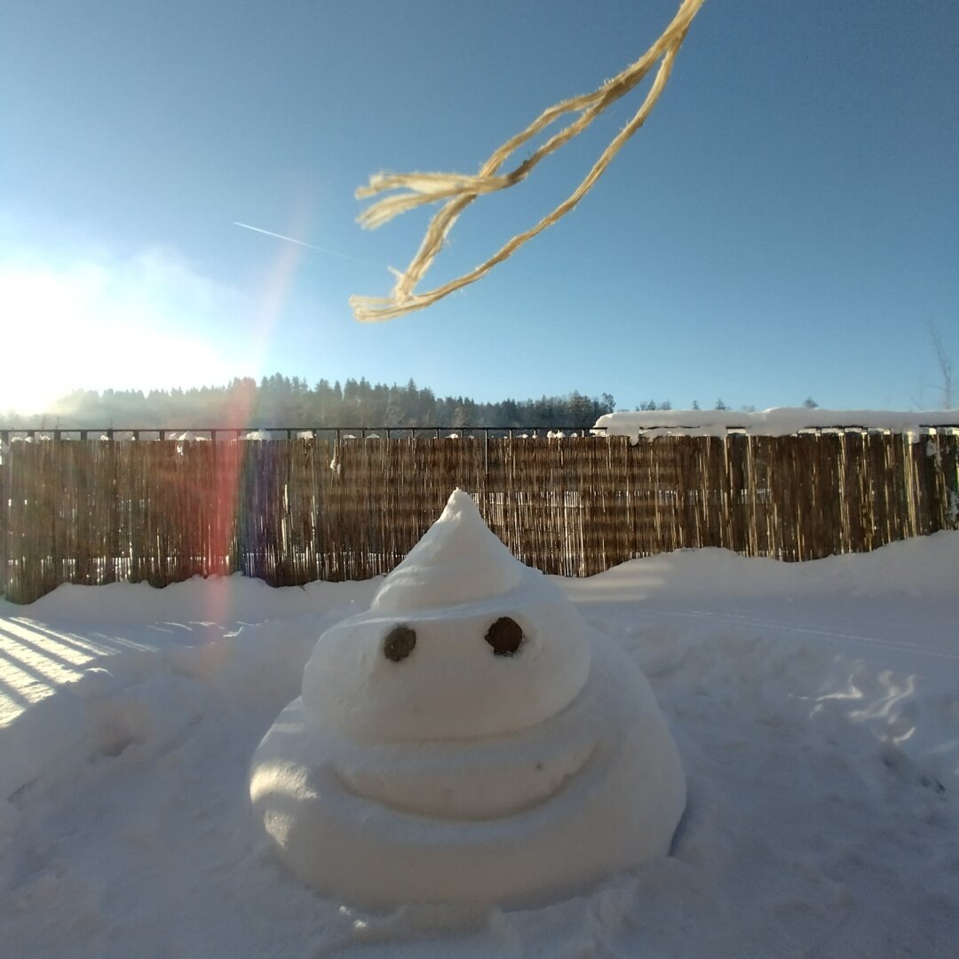 an image from my Pixelfed, shows my snow sculpture of a poop emoji smiling away in the sun
