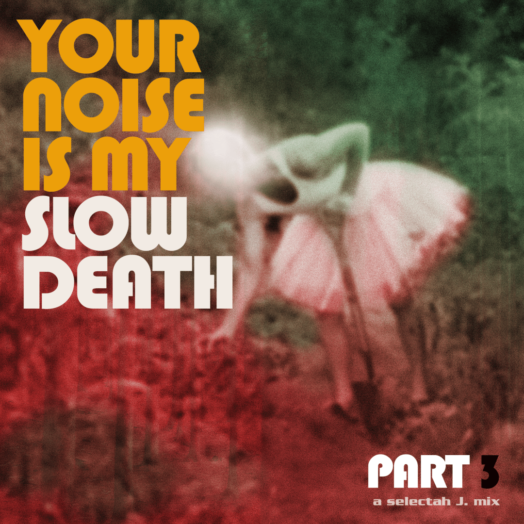 an image from my Pixelfed (because, fuck instagram), shows the cover of a dj mix, with a bearded man in a tutu working in a garden. The lettering reads: Your Noise Is My Slow Death