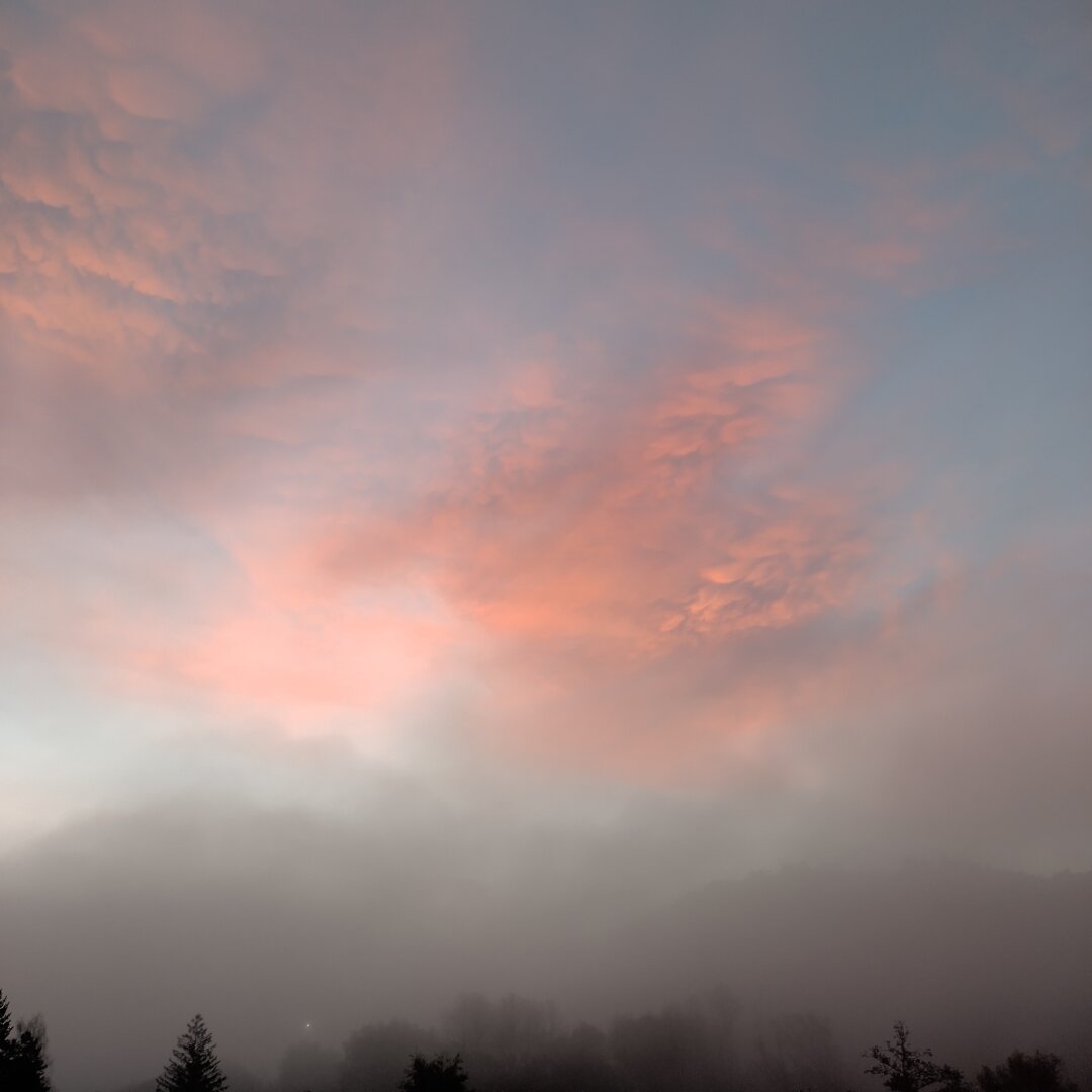 an image from my Pixelfed, shows a dramatically colored sky