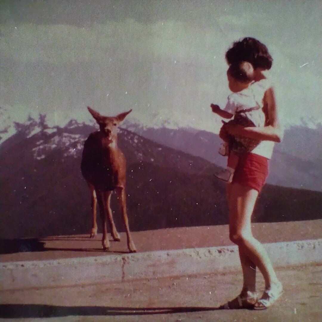 an image from my Pixelfed (because, fuck instagram), shows shows a woman holding a toddler (who might he be?) near a deer in front of spectacular scenery