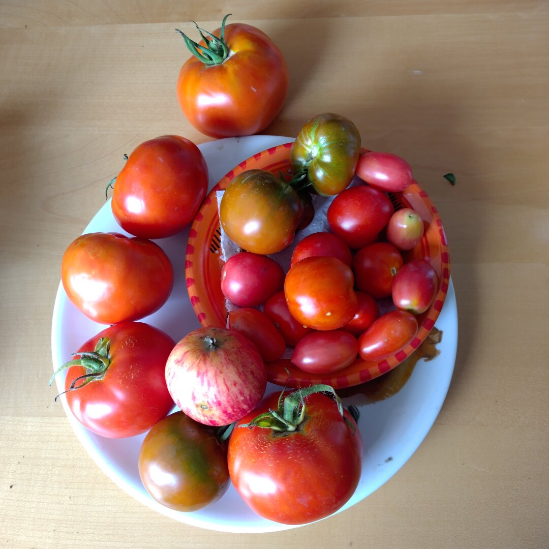 an image from my Pixelfed (because, fuck instagram), shows an orange plate with tomatoes and one apple