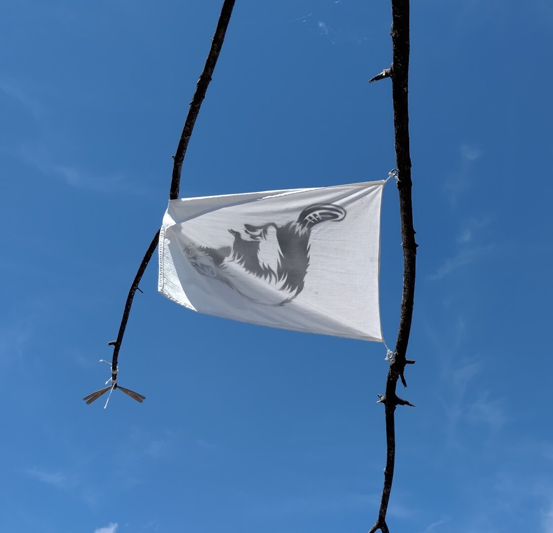 an image or two from my Pixelfed, shows and upside down flag of a beaver