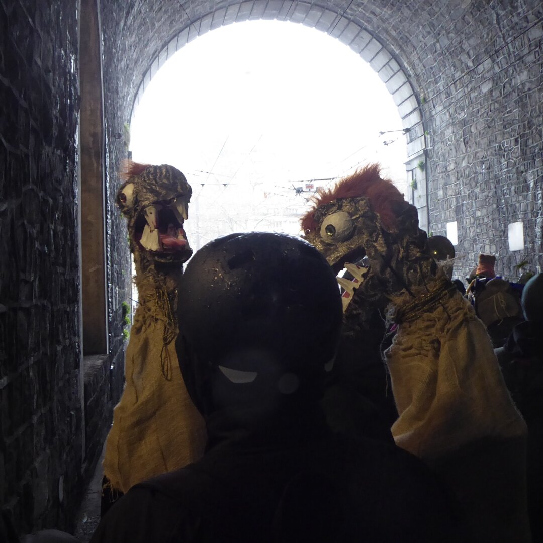 an image from my Pixelfed (because, fuck instagram), shows a protest crossing a tunnel with two persons in large chicken costumes