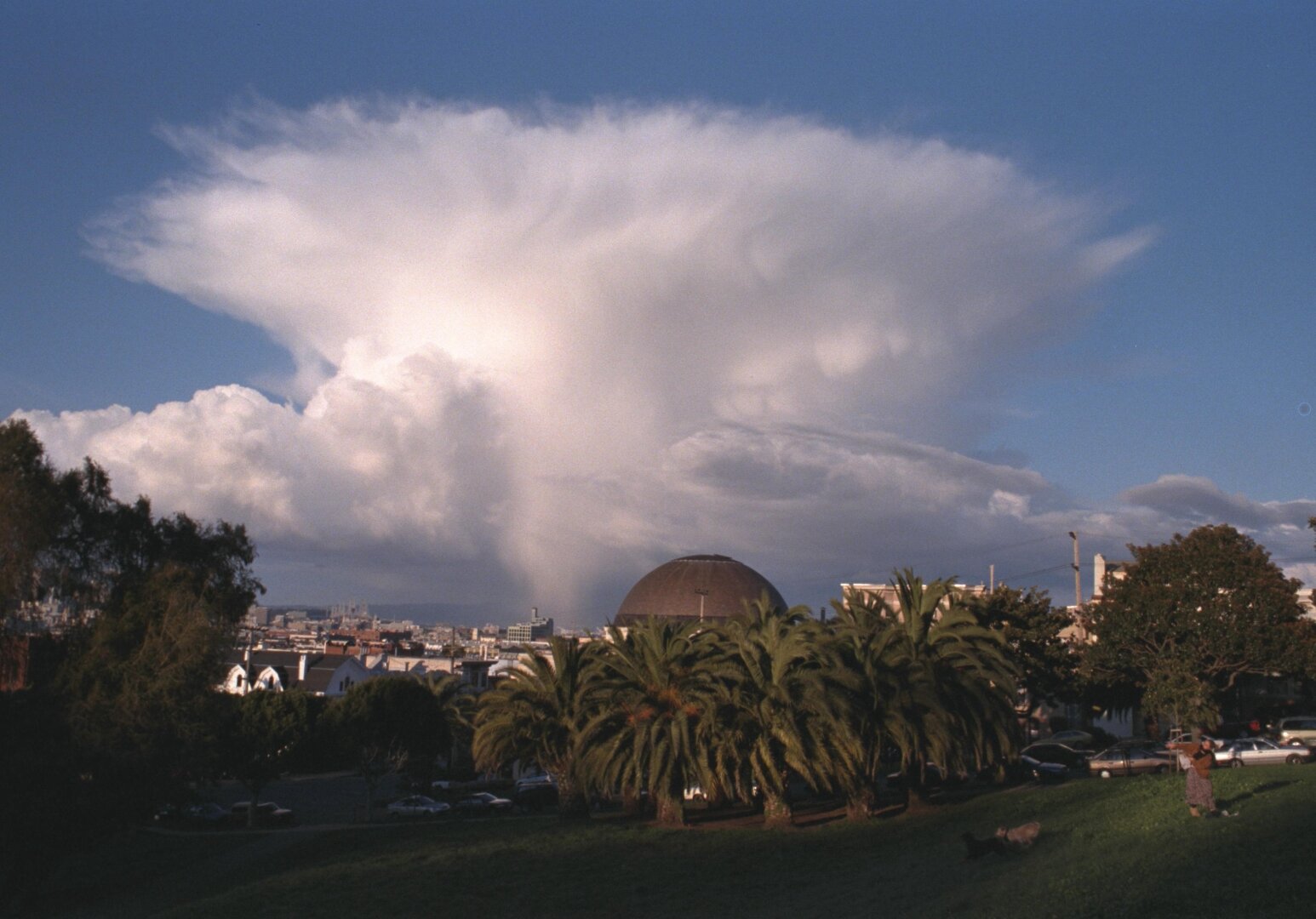 an image from my Pixelfed (because, fuck instagram), shows Dolores park with a spectacular mushroom shaped cloud in the background