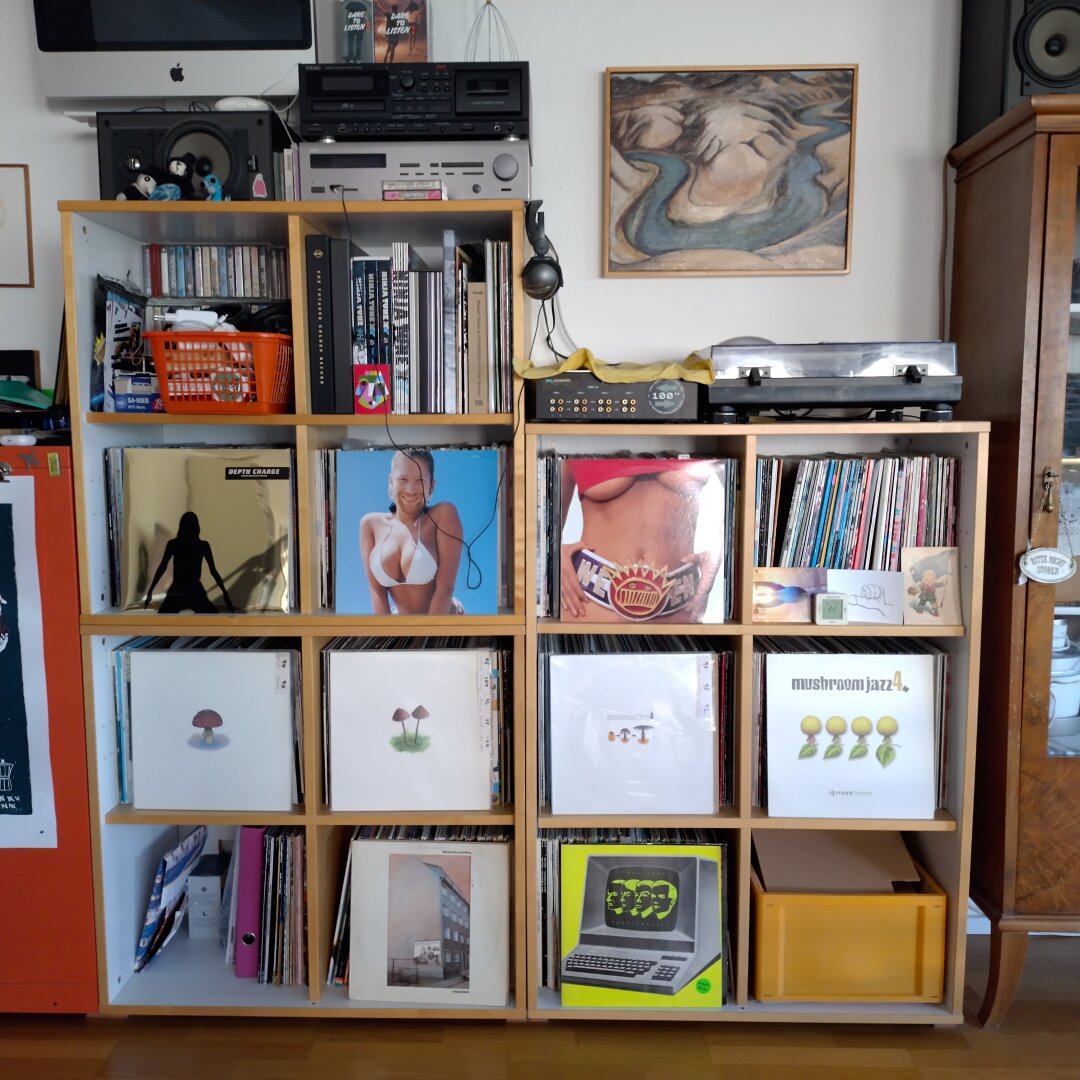 an image from my Pixelfed (because, fuck instagram), shows a record shelf with some albums exposed