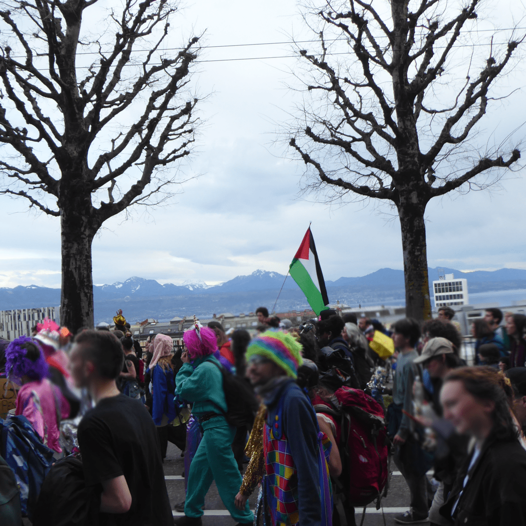 The parade is passing from right to left, many people masked and disguised, in the back ground a person holds a Palestine flag flanked by two tree, the lake and the mountains can be perceived despite the cloudy weather