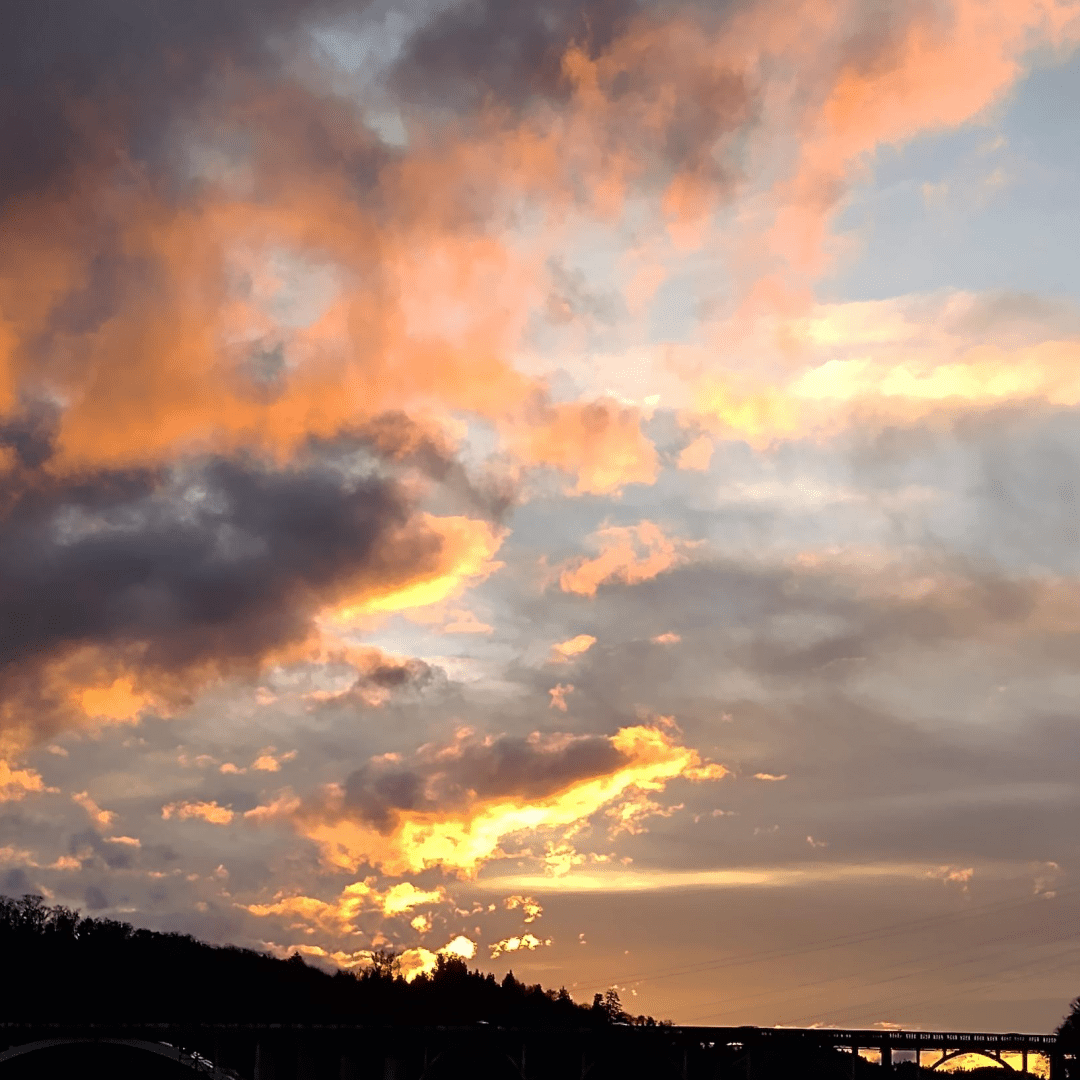 an image from my Pixelfed (because, fuck instagram), shows colorful clouds over a forest