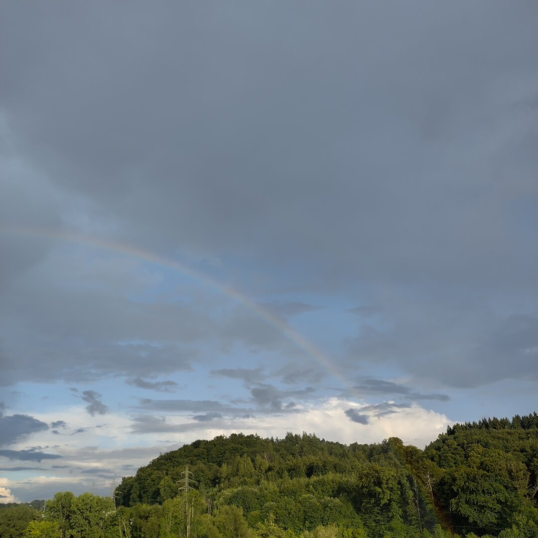 an image from my Pixelfed (because, fuck instagram), shows a timid rainbow above a forest