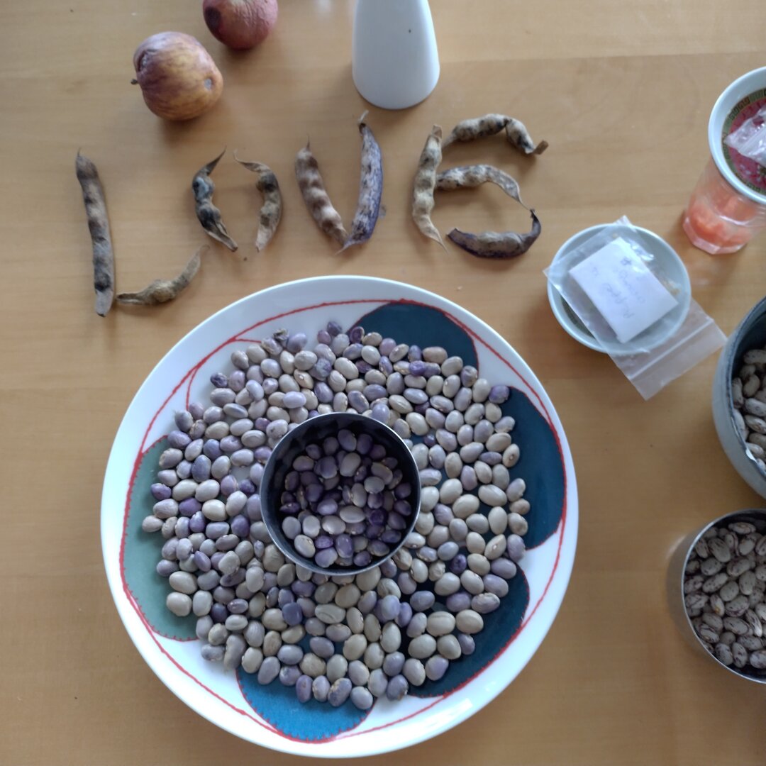 an image from my Pixelfed (because, fuck instagram), shows dried beans arranged to spell love