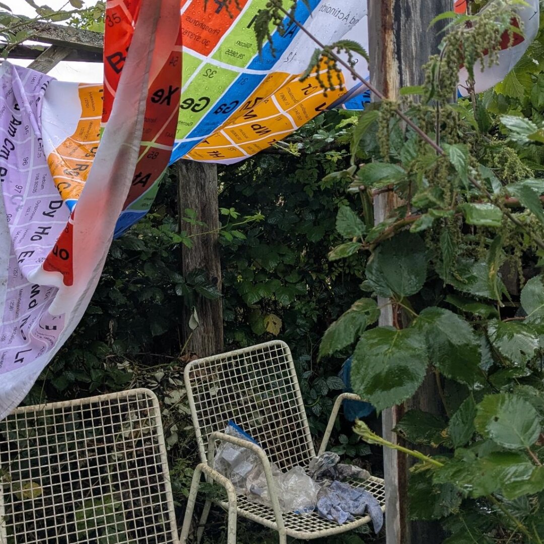 an image from my Pixelfed (because, fuck instagram), shows a garden