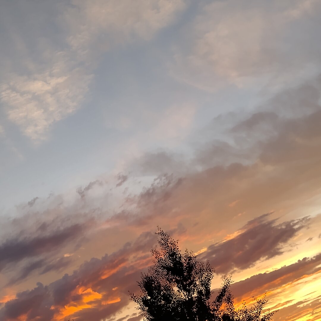 an image from my Pixelfed (because, fuck instagram), shows a colorful morning sky