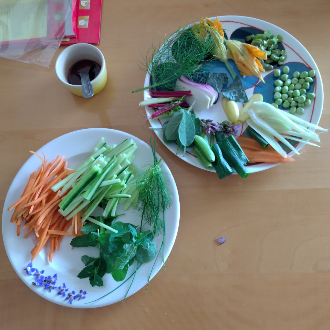 an image from my Pixelfed (because, fuck instagram), shows a plate with neatly arranged sliced vegetables and herbs for tempura and spring rolls