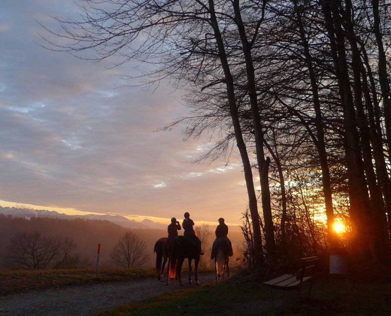 an image or two from my Pixelfed, shows a sunset with three horse riders near a forest