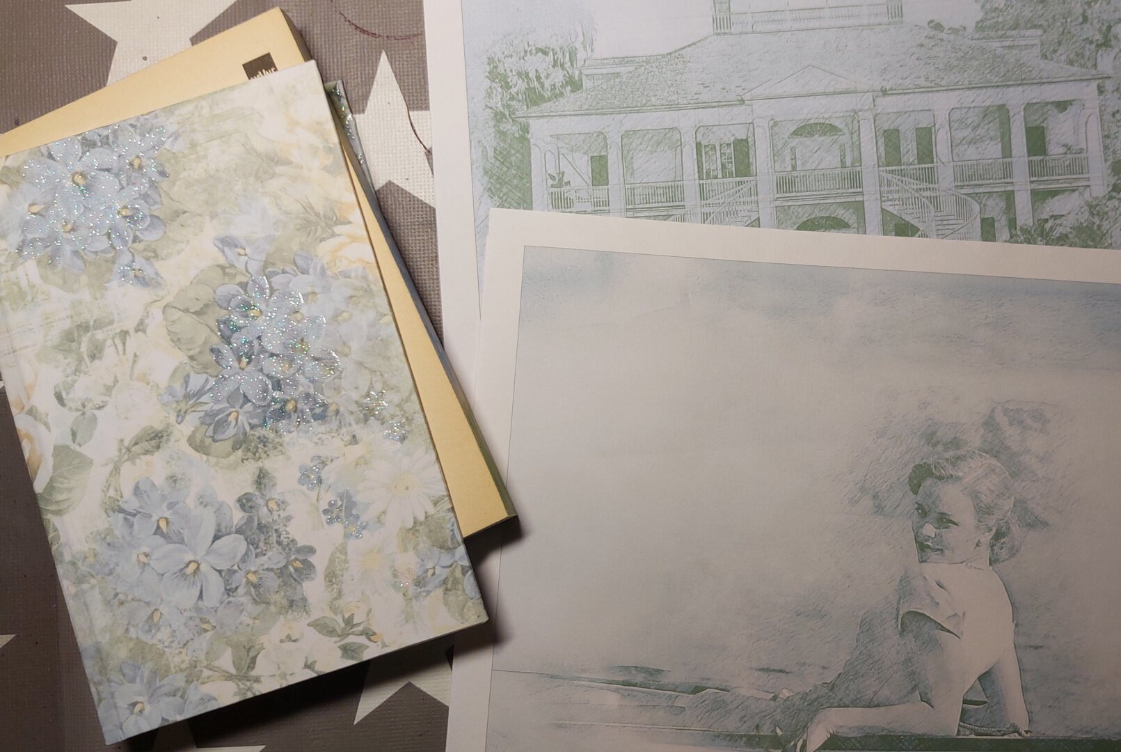 Left a WIP book cover with pale blue flowers. Right two prints in similar colors of sketches of a house and a woman in a row boat.