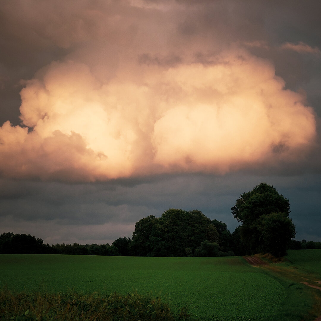 Fat yellow cloud in a dark grey sky over a green field wuth a few trees in the back