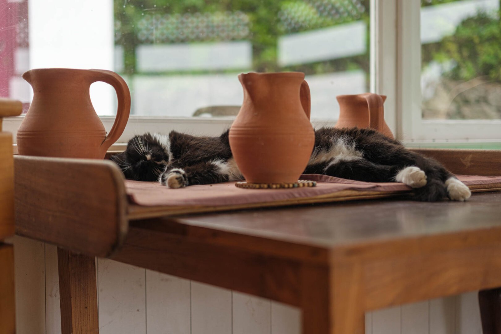 a cat lying on a table with clay pots