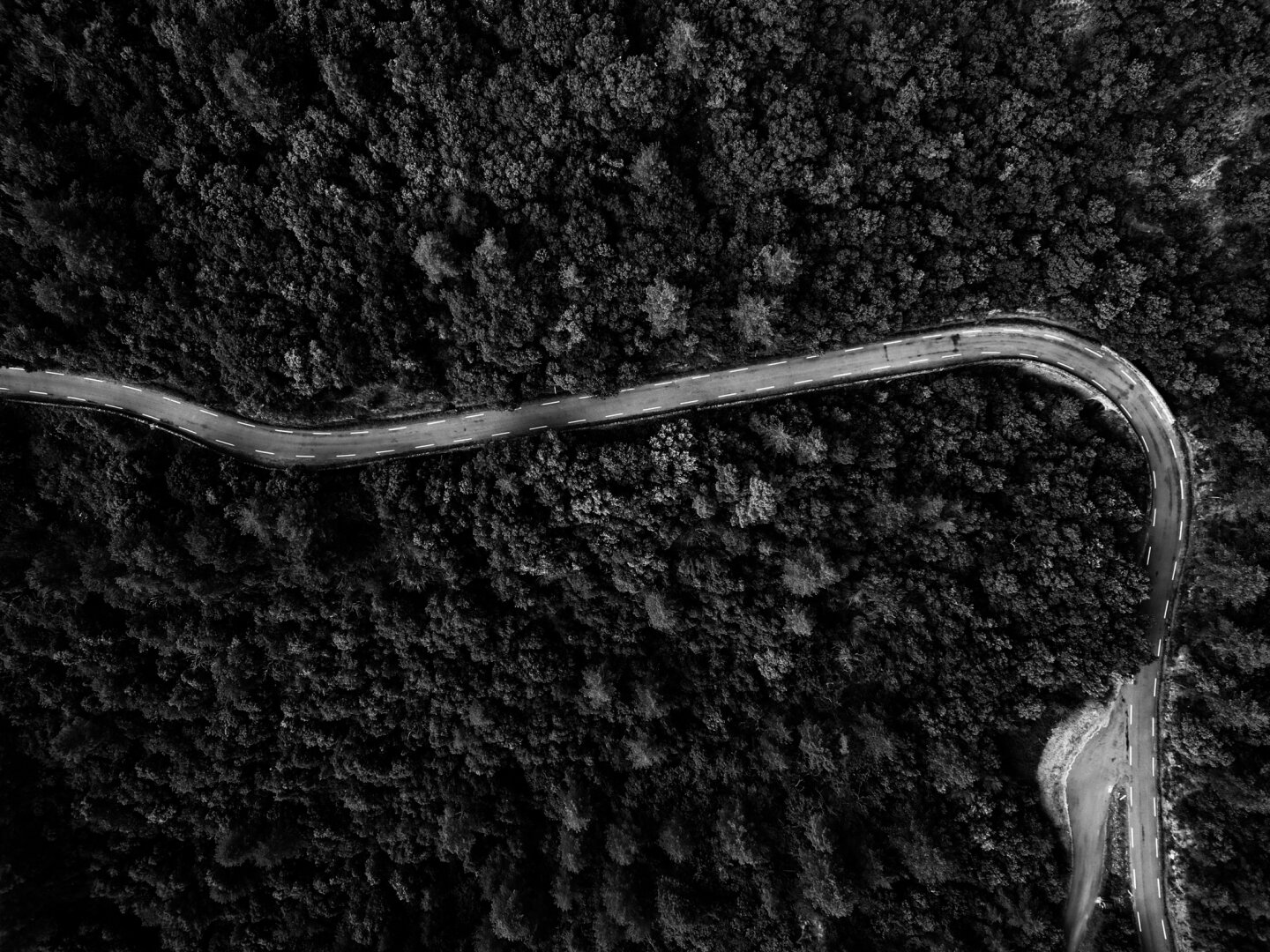 a drone photo of an empty country road in a forest