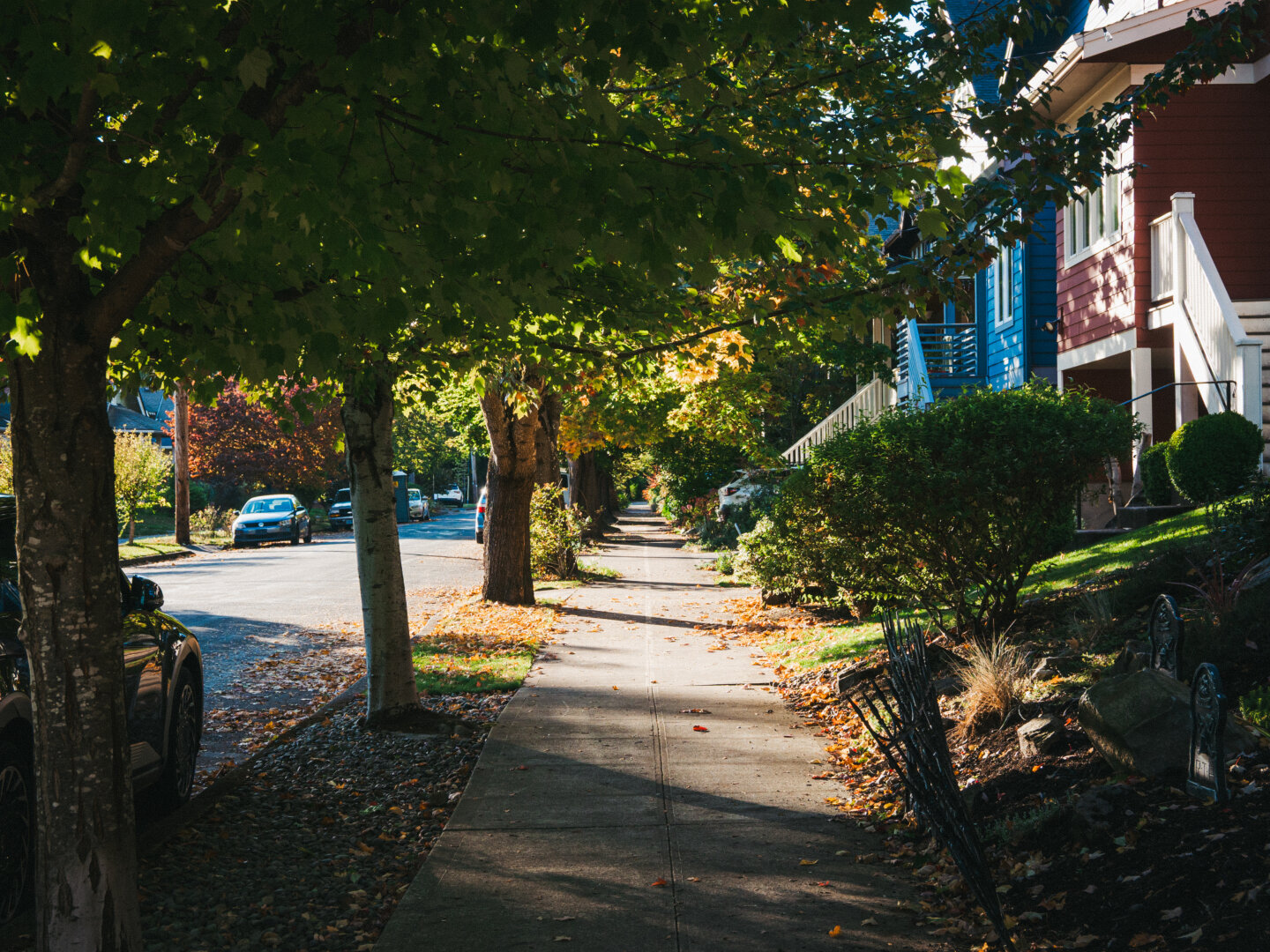 A peaceful sidewalk lined by large trees and colorful vintage bungalow-style homes in the Arts & Crafts style. Sunlight shines off the pavement ahead. It feels like you're walking through a tunnel of foliage.