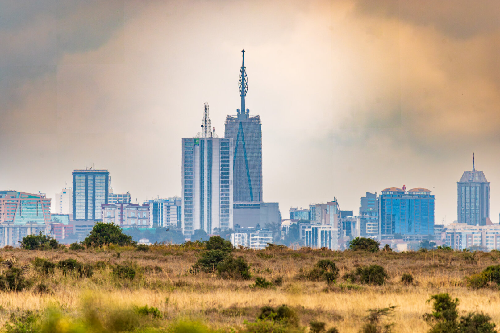 Alt Text: City skyline of Nairobi, Kenya, seen over golden savanna grassland and green bushes. The Britam Tower is the tallest building, centered under an overcast, warm-toned sky.