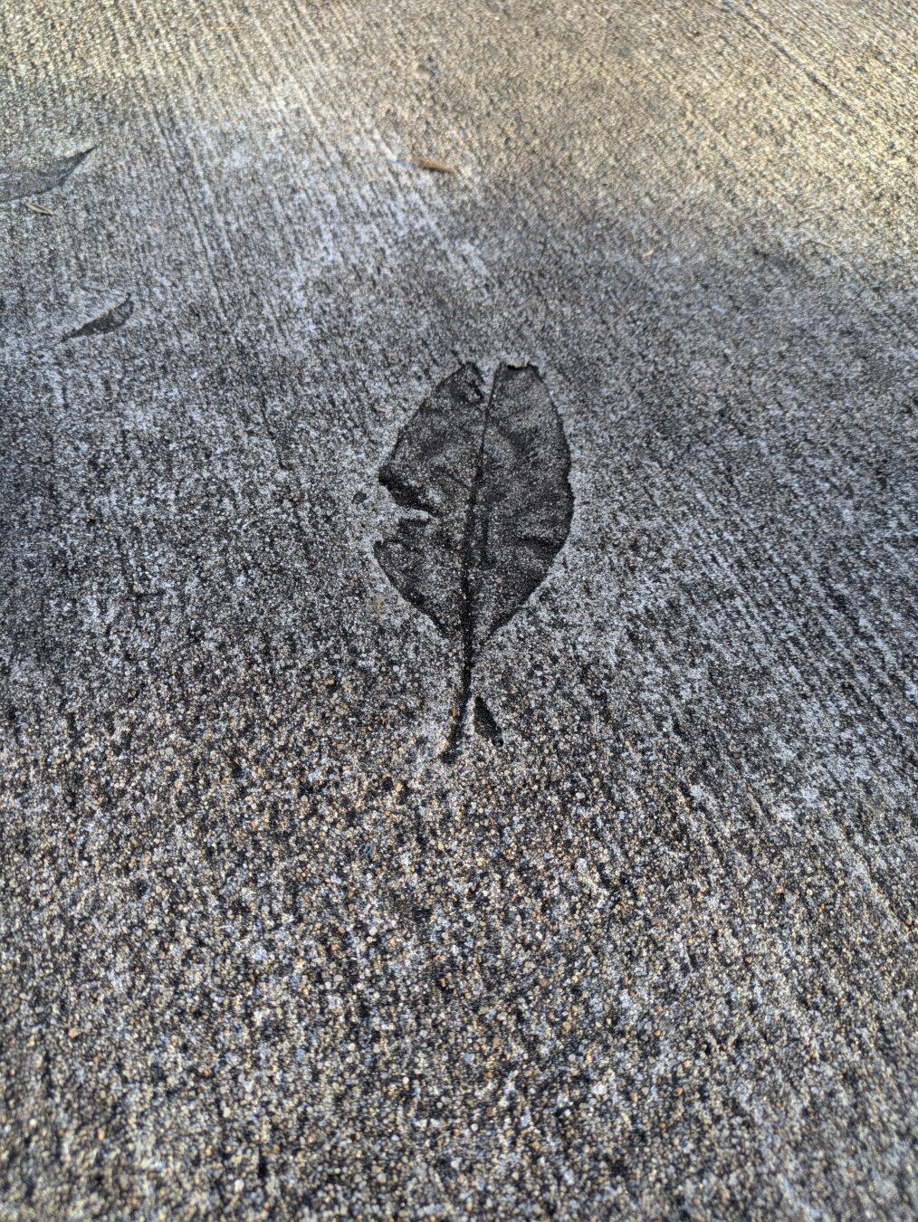 Leave impression in concrete