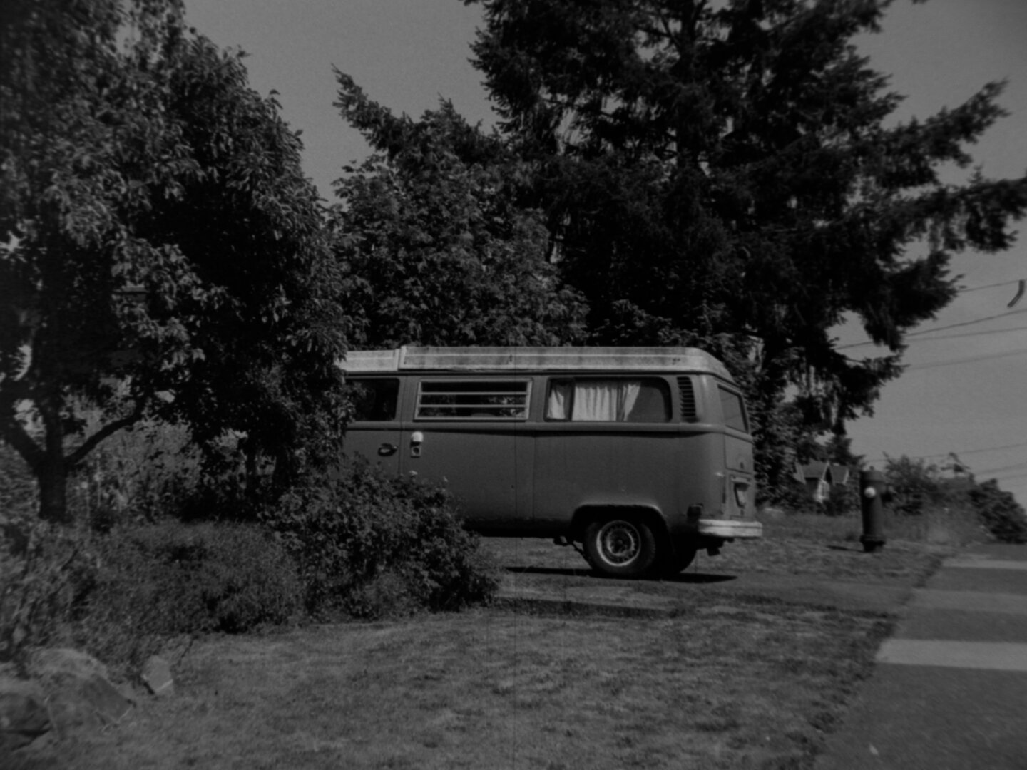An old VW van sticks out from behind a hedge in a driveway.