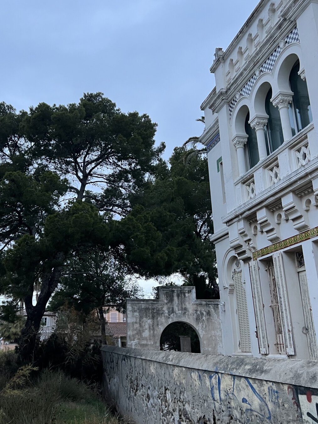 À gauche, un vieil arbre vert sombre penche vers la droite. À droite, le pan sud de l'institut au style ottoman, tout blanc avec des fenêtres mauresques.