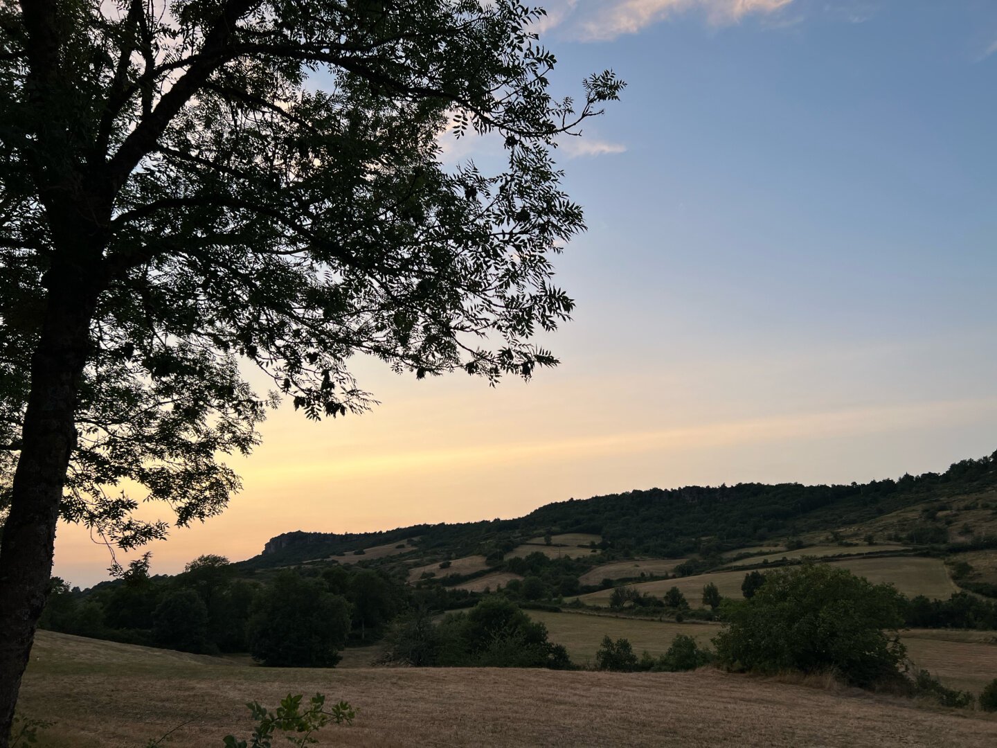 Couleurs du crépuscule, terre et horizon mordorés, ciel dégradé de l'orange au bleu. Un arbre tout noir est à gauche de la photo. Une ligne de crête traverse le paysage et sépare la terre et le ciel en diagonale montante de gauche à droite.