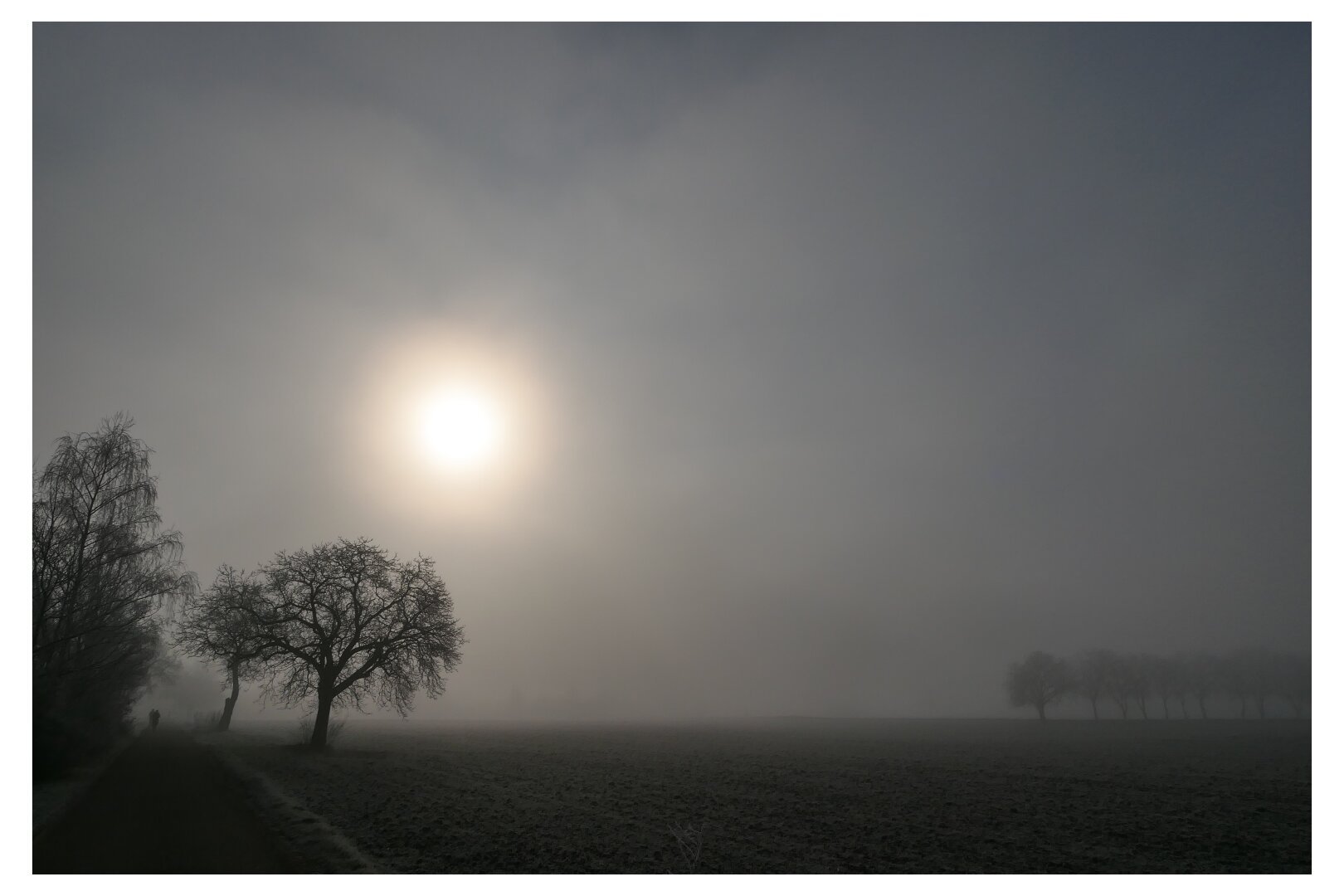 A cold morning. #sooc #ladenburg #mist #fog #ice #backlight #sun #landscape #lumix #lx15