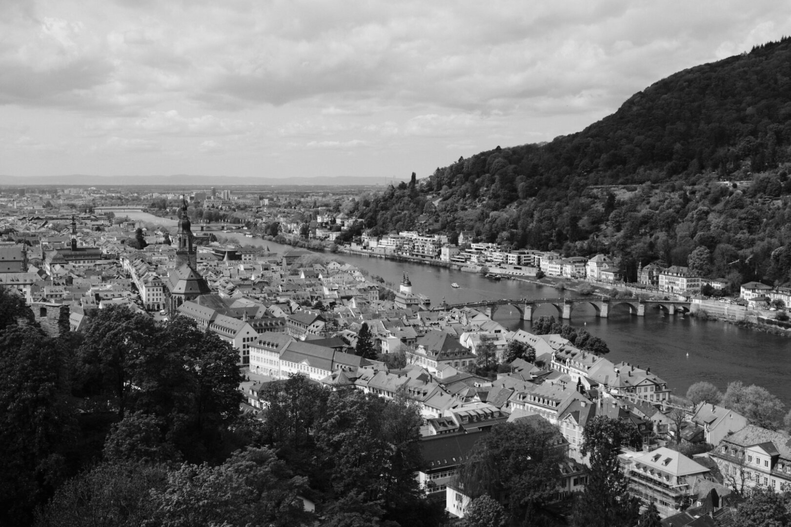 A photo of the old town in Heidelberg, taken from the castle. In the picture we can see the old town and the Neckar river.