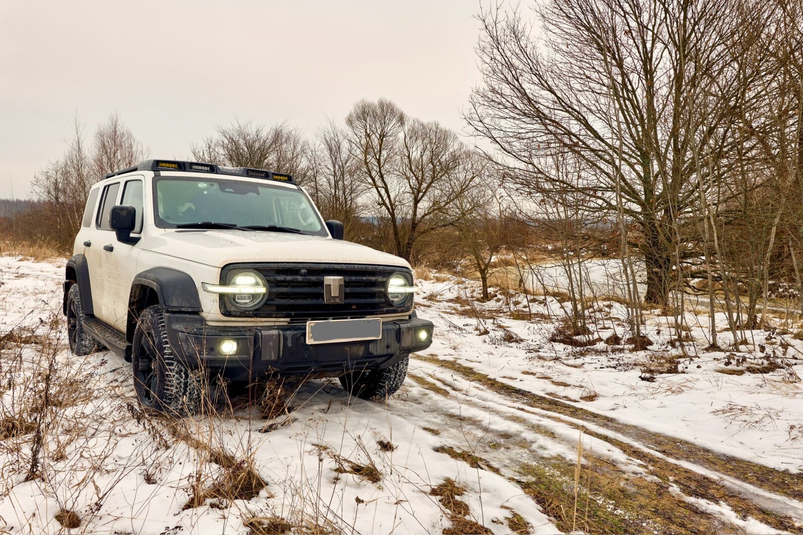 4x4 car in the snowy forest