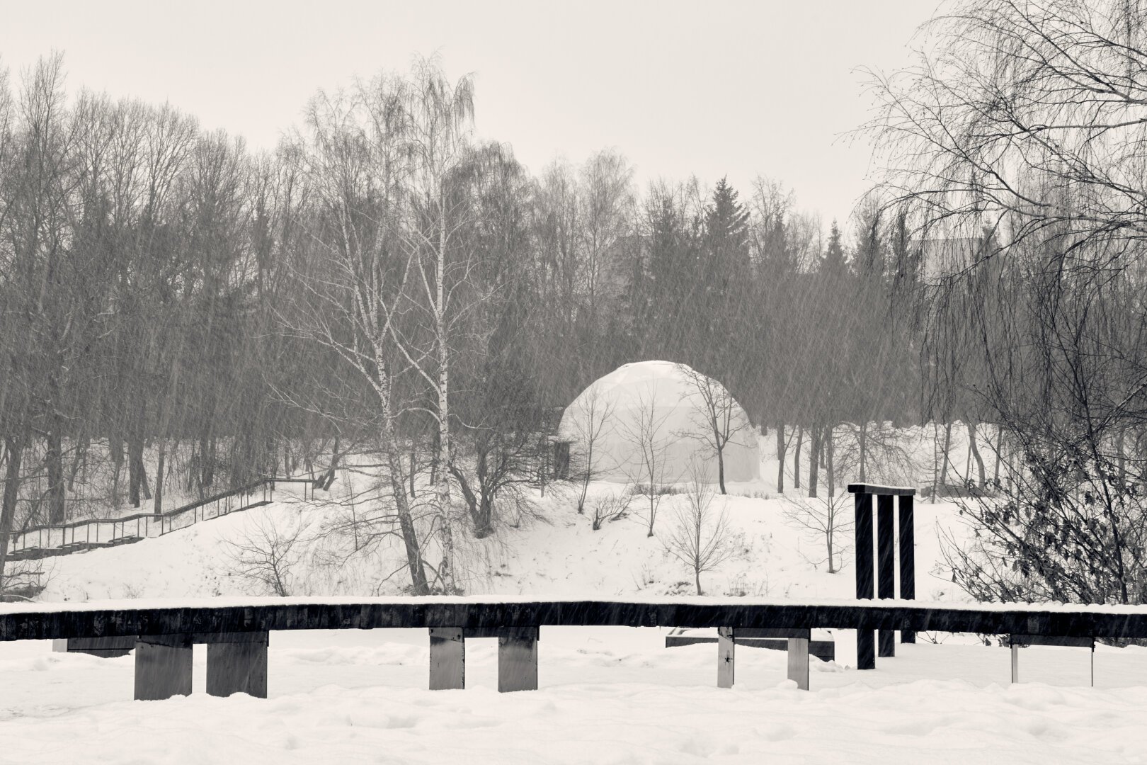 Snowstorm in the local park