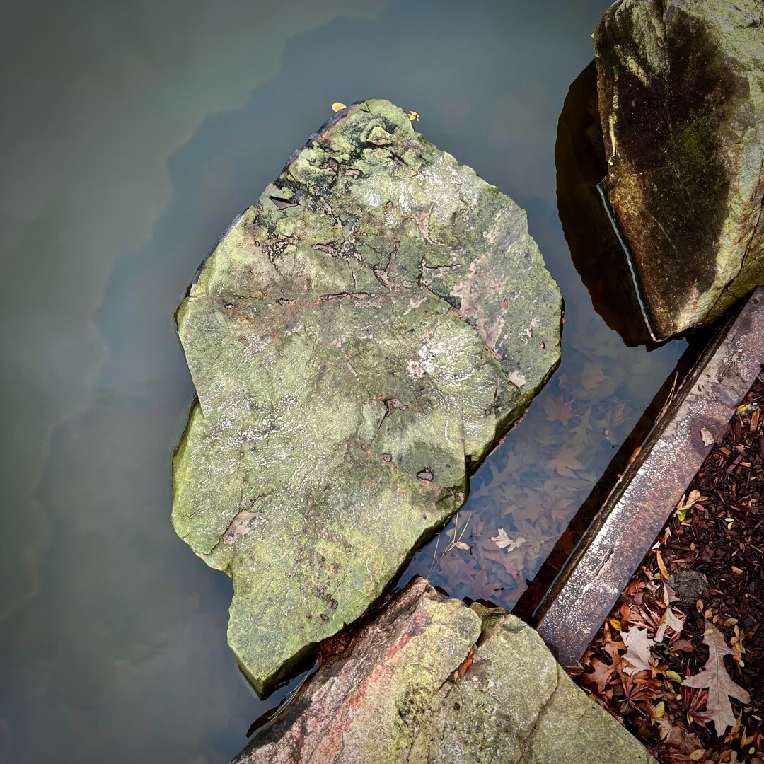 Rock in still water