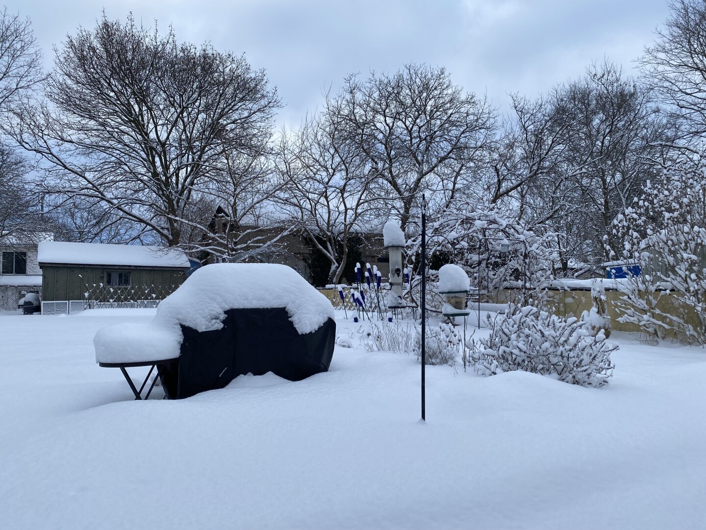 View of the same back yard from ground level, with snow-covered trees in the distance. The snow is a foot deep, visible piled on top of a bbq and small table. A bird feeder sits birdless.