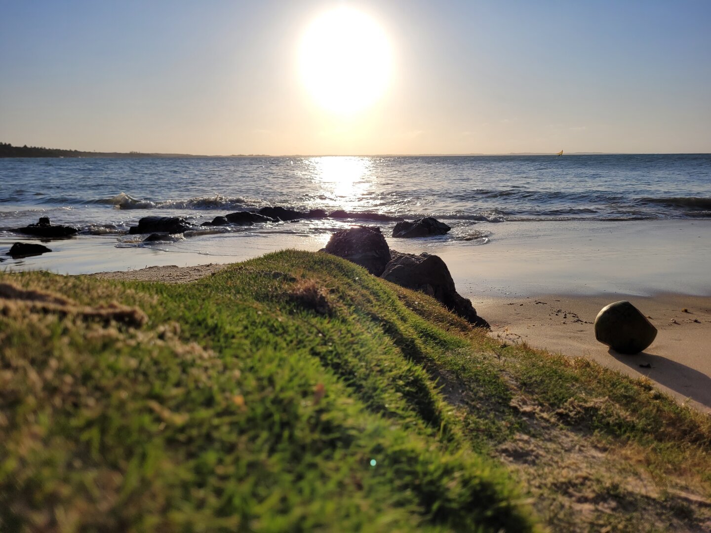 A green coconut rolls on the golden sand of a beach, with the sun shining brightly over the blue ocean on the horizon. Soft waves break on the rocks near a green grass dune.